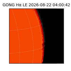 gong - 2026-08-22T04:00:42