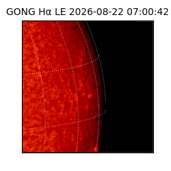 gong - 2026-08-22T07:00:42