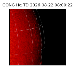 gong - 2026-08-22T08:00:22