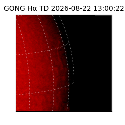 gong - 2026-08-22T13:00:22