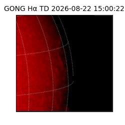 gong - 2026-08-22T15:00:22