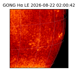 gong - 2026-08-22T02:00:42