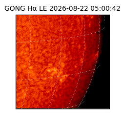 gong - 2026-08-22T05:00:42