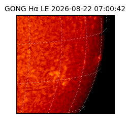 gong - 2026-08-22T07:00:42