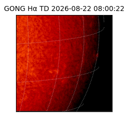 gong - 2026-08-22T08:00:22