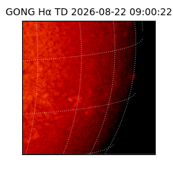gong - 2026-08-22T09:00:22