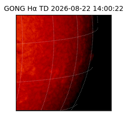 gong - 2026-08-22T14:00:22
