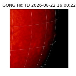 gong - 2026-08-22T16:00:22