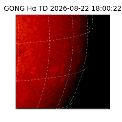 gong - 2026-08-22T18:00:22