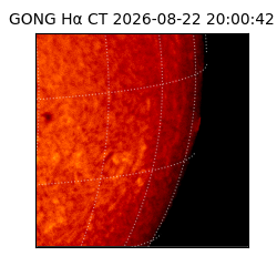 gong - 2026-08-22T20:00:42