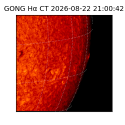 gong - 2026-08-22T21:00:42