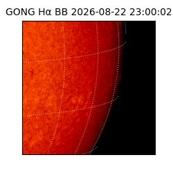 gong - 2026-08-22T23:00:02