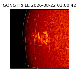 gong - 2026-08-22T01:00:42