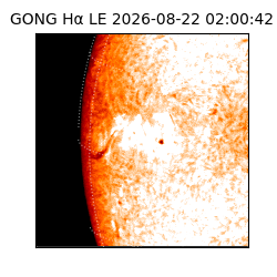 gong - 2026-08-22T02:00:42