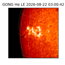 gong - 2026-08-22T03:00:42
