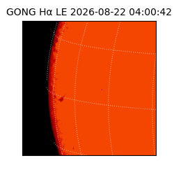 gong - 2026-08-22T04:00:42