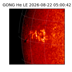 gong - 2026-08-22T05:00:42