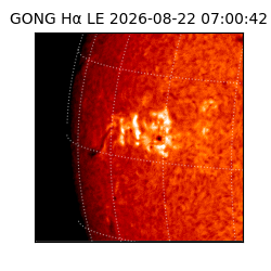 gong - 2026-08-22T07:00:42