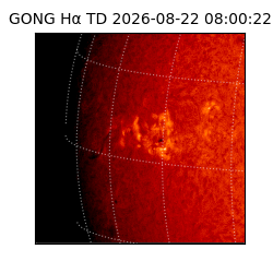 gong - 2026-08-22T08:00:22