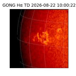 gong - 2026-08-22T10:00:22