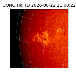 gong - 2026-08-22T11:00:22