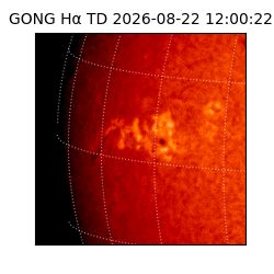 gong - 2026-08-22T12:00:22