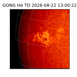 gong - 2026-08-22T13:00:22
