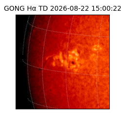 gong - 2026-08-22T15:00:22