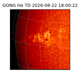gong - 2026-08-22T18:00:22