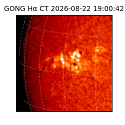 gong - 2026-08-22T19:00:42