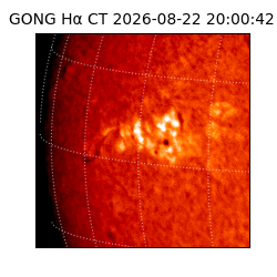 gong - 2026-08-22T20:00:42