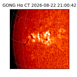 gong - 2026-08-22T21:00:42
