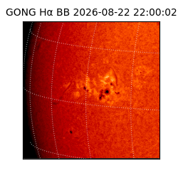 gong - 2026-08-22T22:00:02