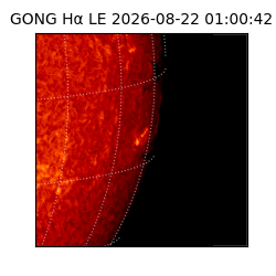 gong - 2026-08-22T01:00:42