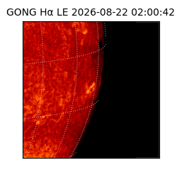 gong - 2026-08-22T02:00:42