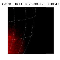 gong - 2026-08-22T03:00:42