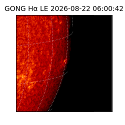 gong - 2026-08-22T06:00:42