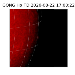 gong - 2026-08-22T17:00:22