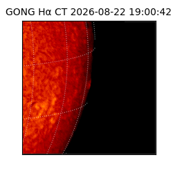gong - 2026-08-22T19:00:42