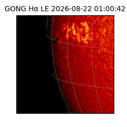 gong - 2026-08-22T01:00:42