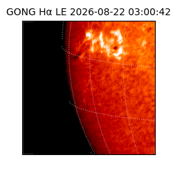 gong - 2026-08-22T03:00:42
