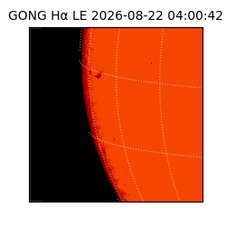 gong - 2026-08-22T04:00:42