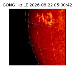 gong - 2026-08-22T05:00:42