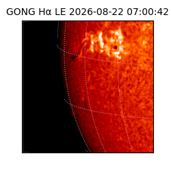 gong - 2026-08-22T07:00:42