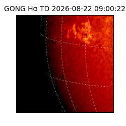 gong - 2026-08-22T09:00:22