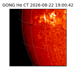 gong - 2026-08-22T19:00:42