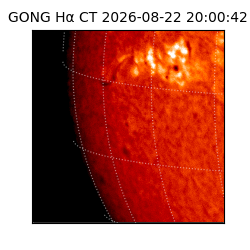 gong - 2026-08-22T20:00:42