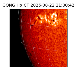 gong - 2026-08-22T21:00:42