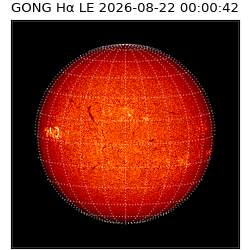 gong - 2026-08-22T00:00:42