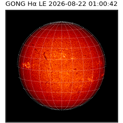 gong - 2026-08-22T01:00:42